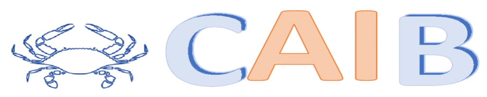CAIB Logo